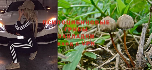 эйфоретик Алзамай