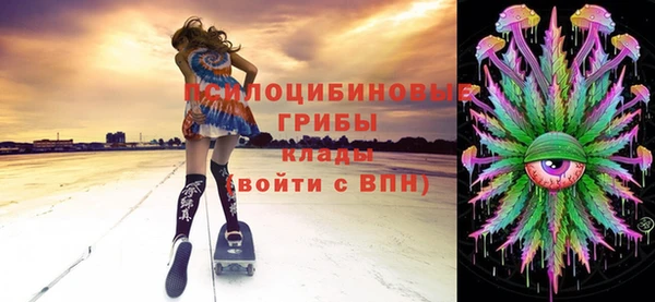 твердый Алексеевка